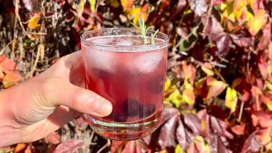 The Polyphenol Booster